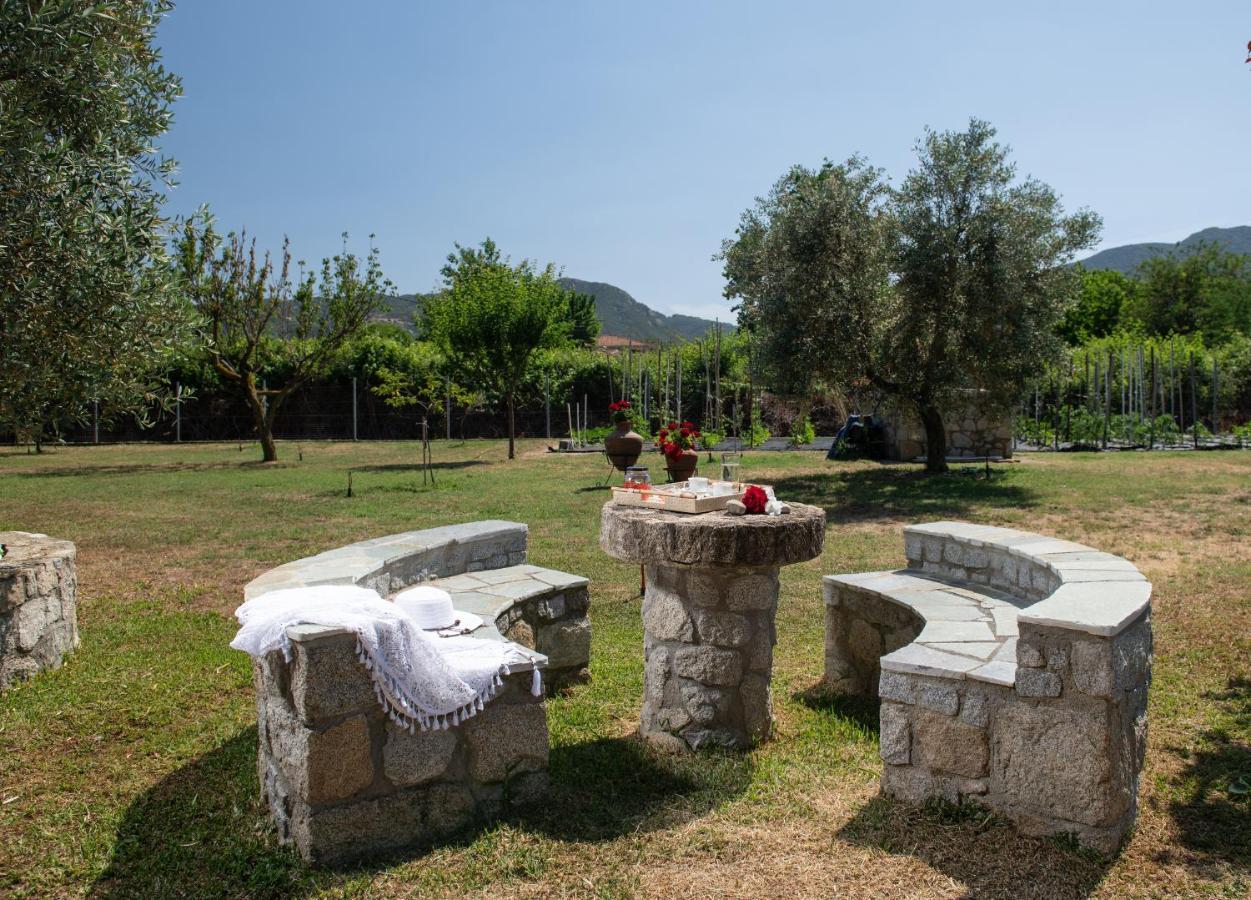 Villa Tsitreli Sykia Zewnętrze zdjęcie