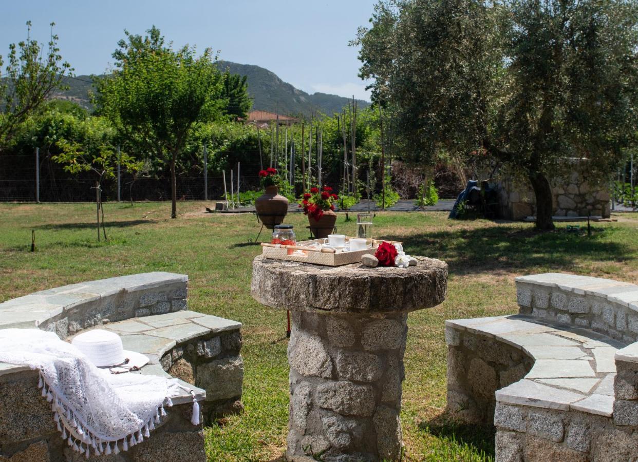 Villa Tsitreli Sykia Zewnętrze zdjęcie