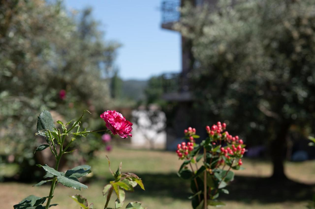 Villa Tsitreli Sykia Zewnętrze zdjęcie