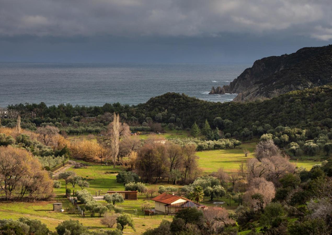 Villa Tsitreli Sykia Zewnętrze zdjęcie